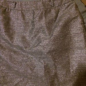 Women’s Silver Skirt